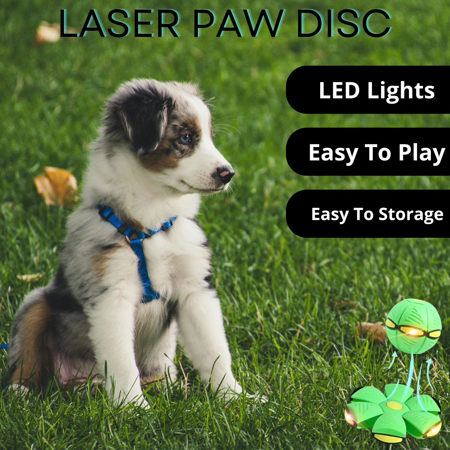 LaserPaw Disc